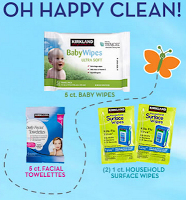 kitkland wipes