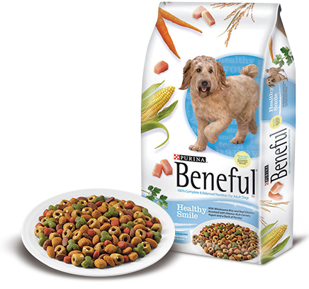 Beneful Healthy Smile Adult Dog Food