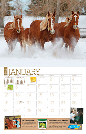 free 2014 horse calendar