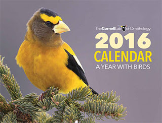 bird calendar