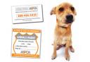 ASPCA Free Pet Safety Pack