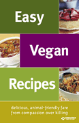 Easy Vegan Recipes